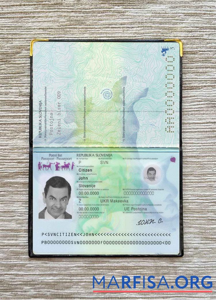 Blank Slovenia passport photo look template